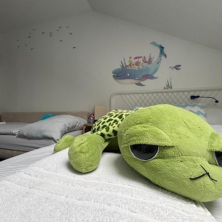 Apartmany Marco Polo 雷德尼斯 外观 照片